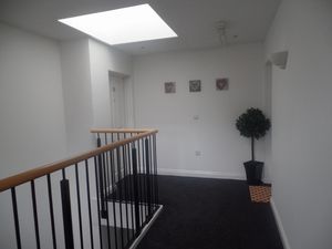 Brookfield West Allotment